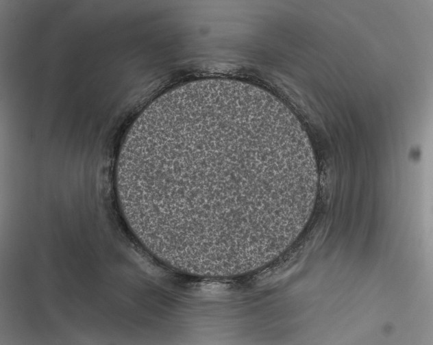 X0000116610462201001081214