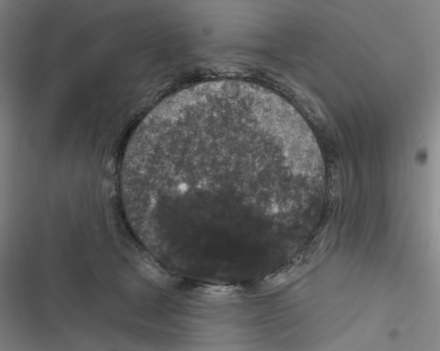 X0000116610465201001081214