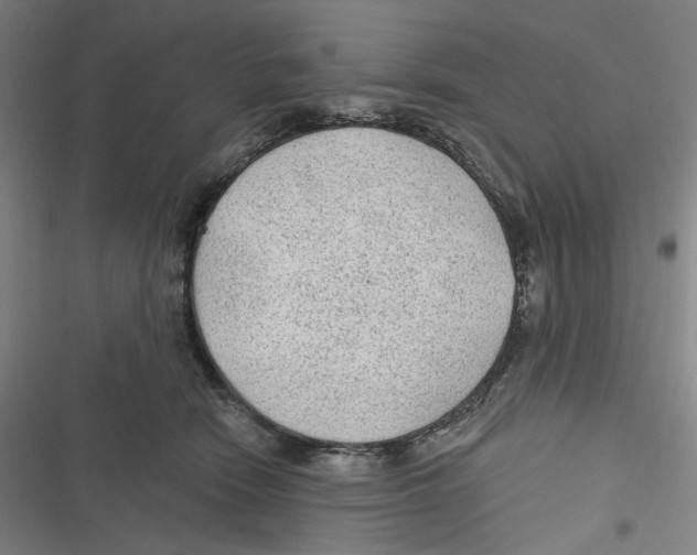 X0000116610466201001081214