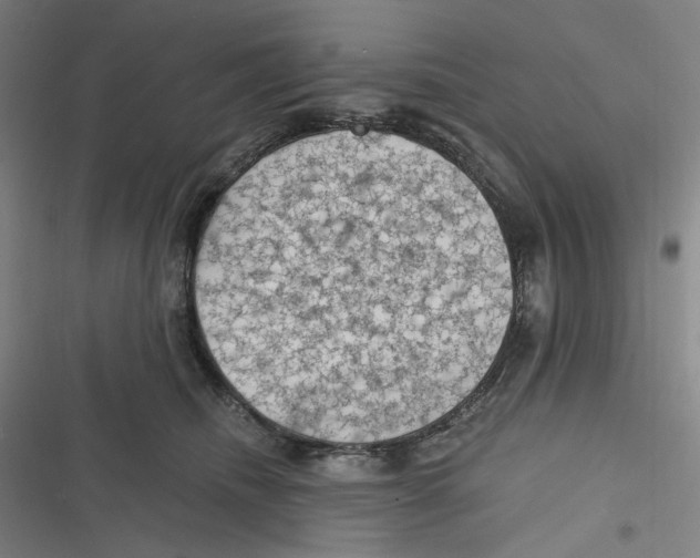 X0000116610468201001081214