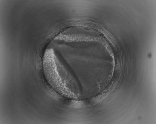 X0000116610469201001081214