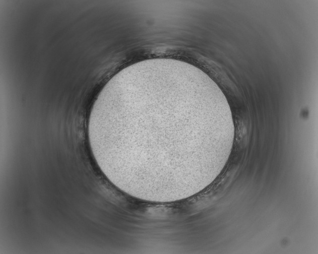 X0000116610470201001081214