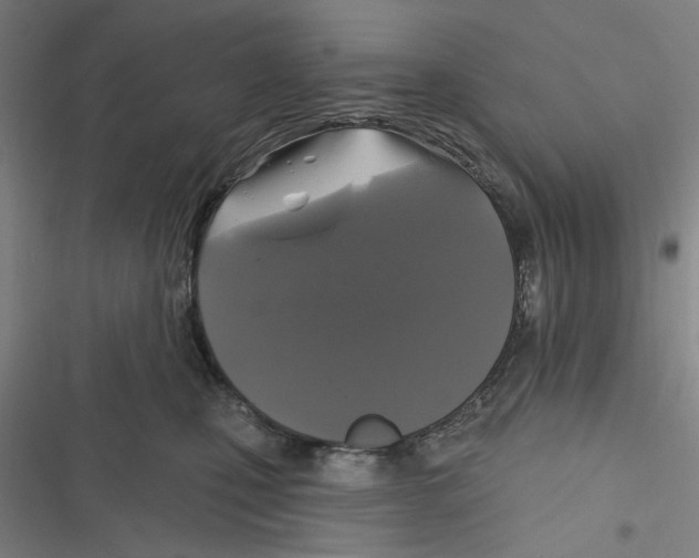 X0000116610471201001081214