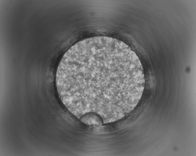 X0000116610472201001081214