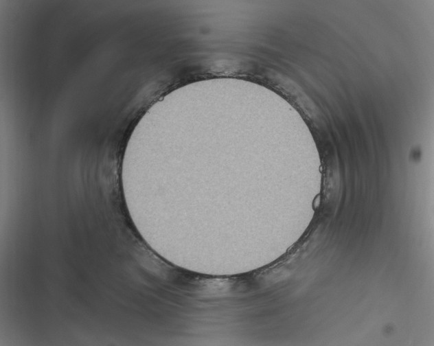 X0000116610473201001081214