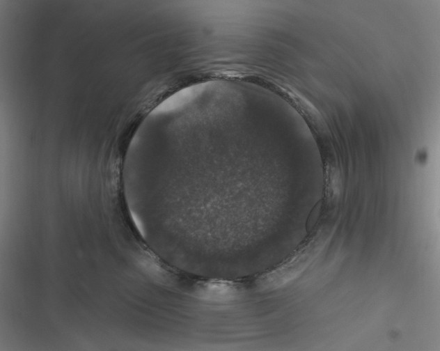 X0000116610475201001081214