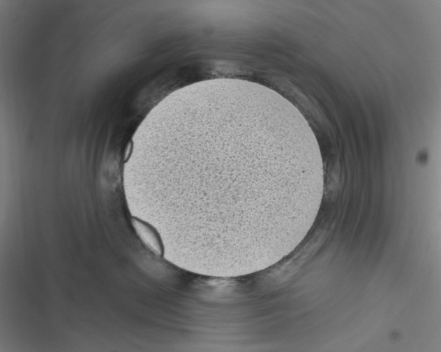 X0000116610478201001081214