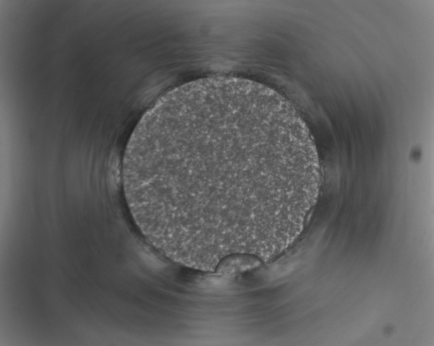 X0000116610479201001081214