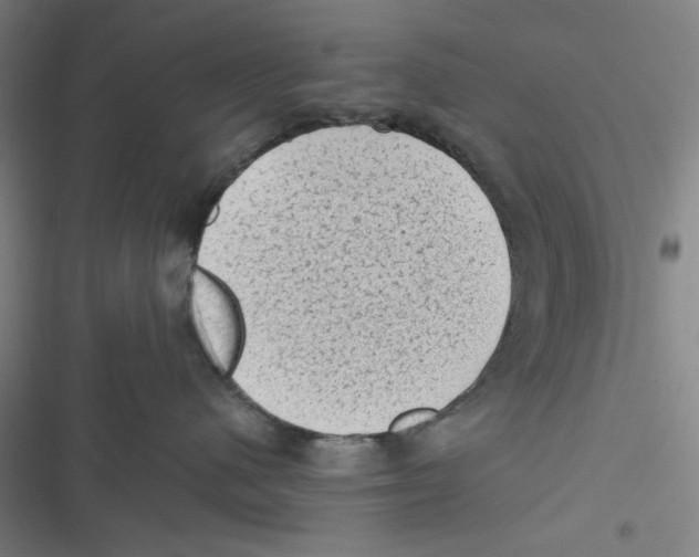 X0000116610480201001081214