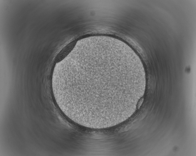 X0000116610481201001081214