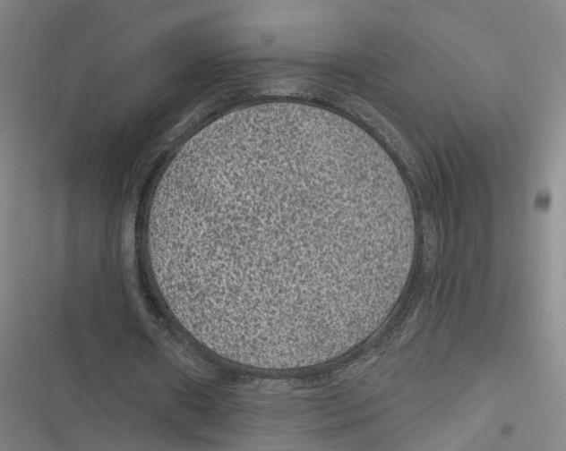 X0000116610482201001081214