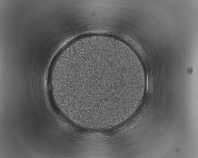 X0000116610483201001081214