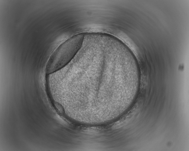 X0000116610485201001081214