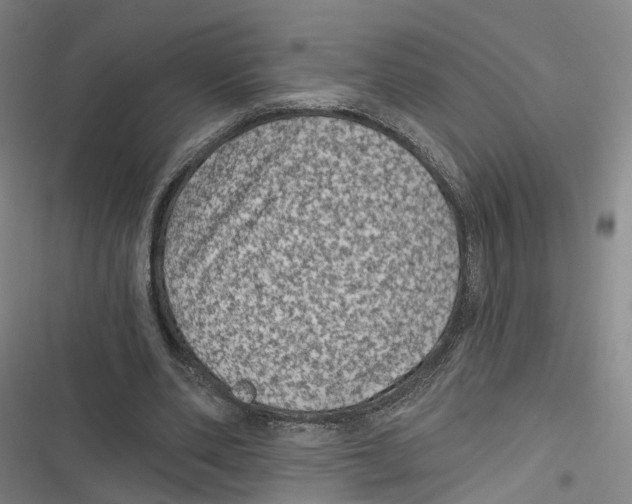 X0000116610486201001081214