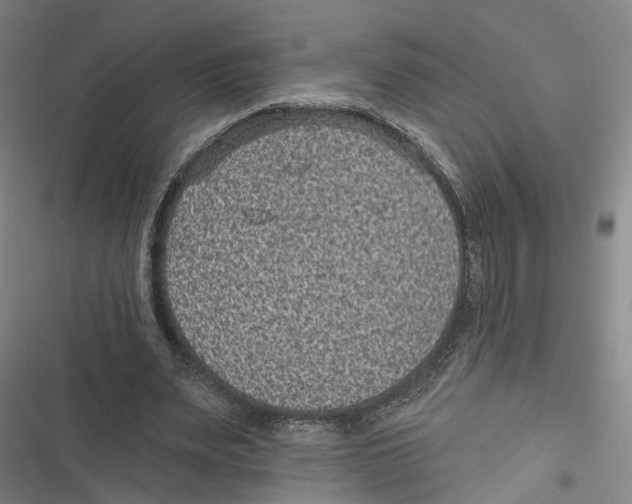 X0000116610487201001081214