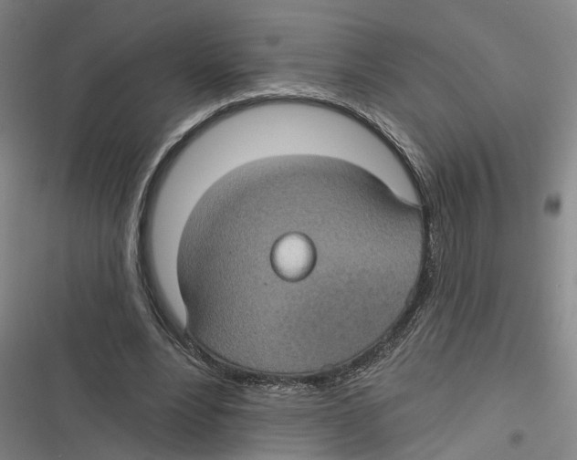 X0000116610488201001081214