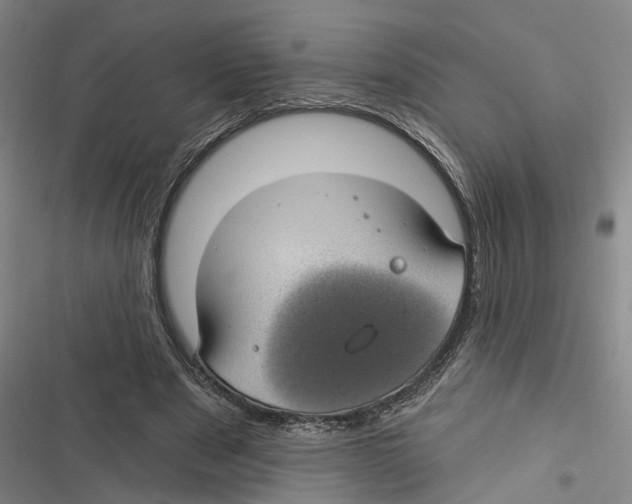 X0000116610489201001081214