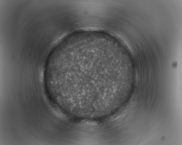 X0000116610491201001081214