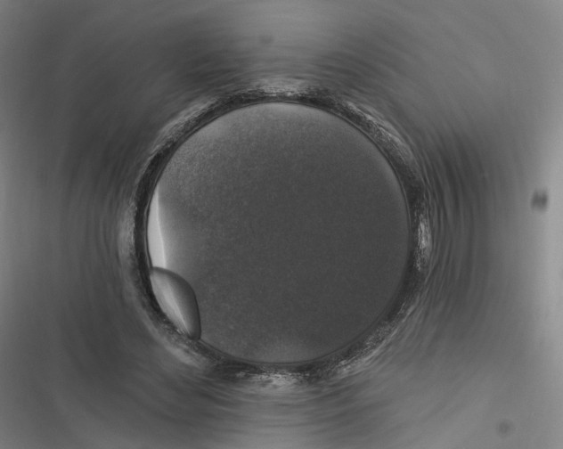 X0000116610492201001081214