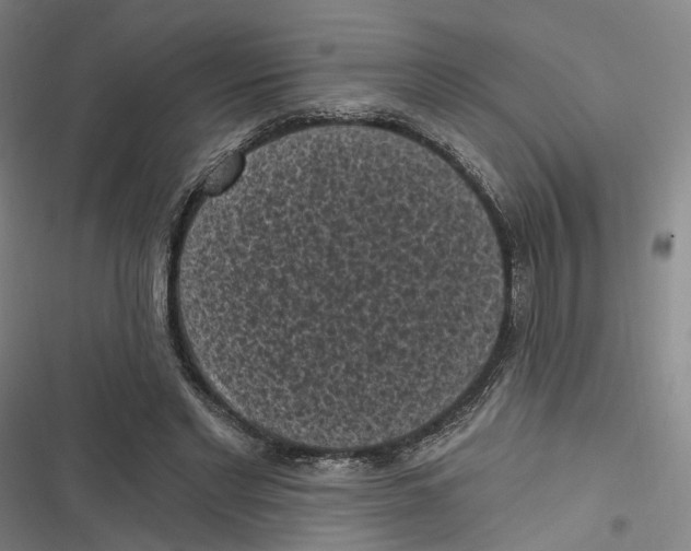 X0000116610493201001081214