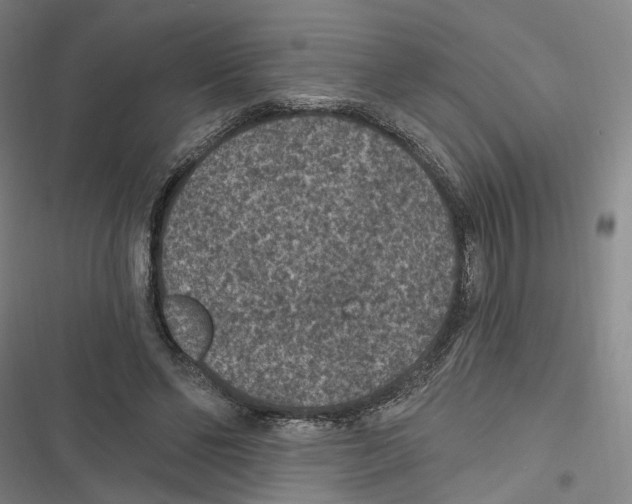 X0000116610494201001081214