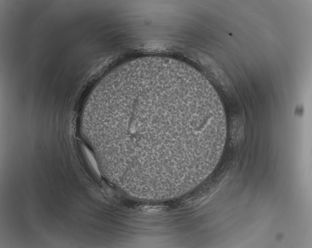 X0000116610495201001081214