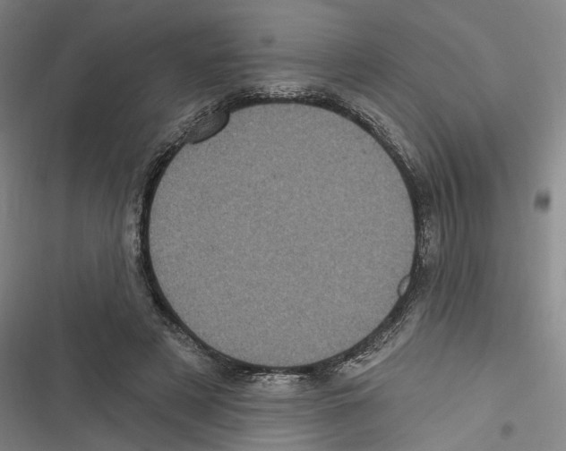 X0000116610497201001081214