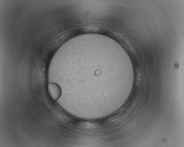 X0000116610498201001081214