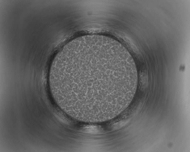 X0000116610499201001081214