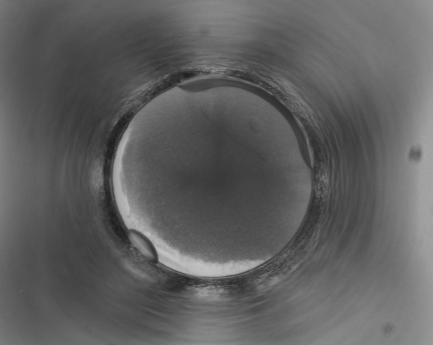 X0000116610500201001081214