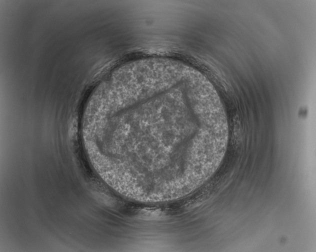 X0000116610502201001081214