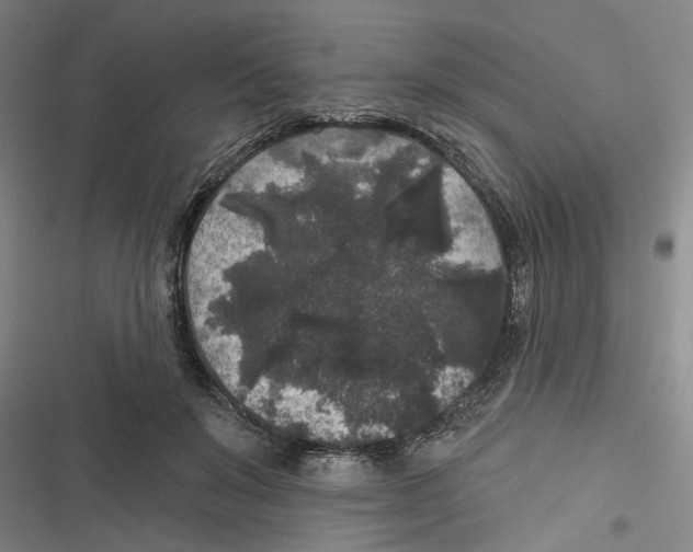 X0000116610503201001081213