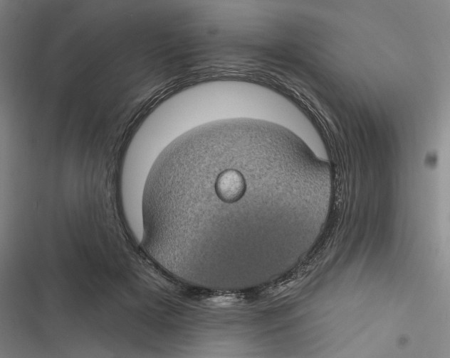 X0000116610505201001081213