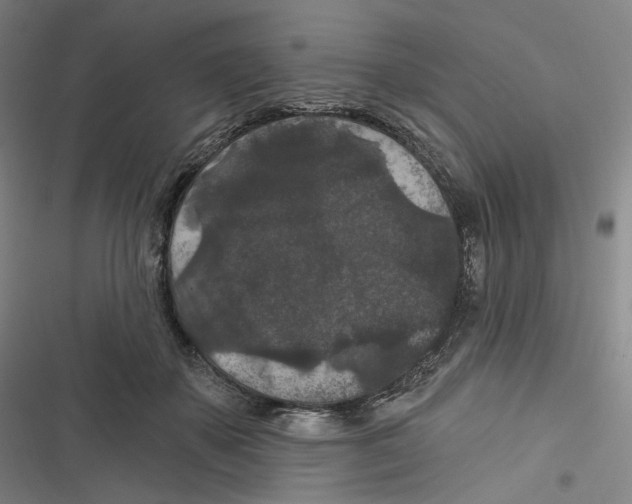 X0000116610507201001081213