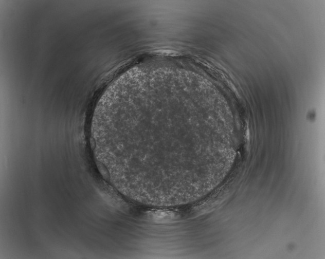 X0000116610512201001081213