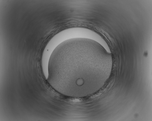 X0000116610513201001081213