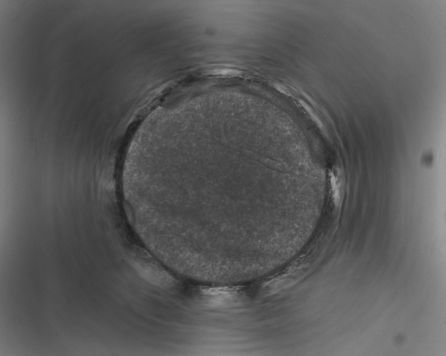 X0000116610516201001081213