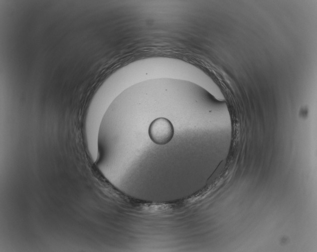 X0000116610517201001081213