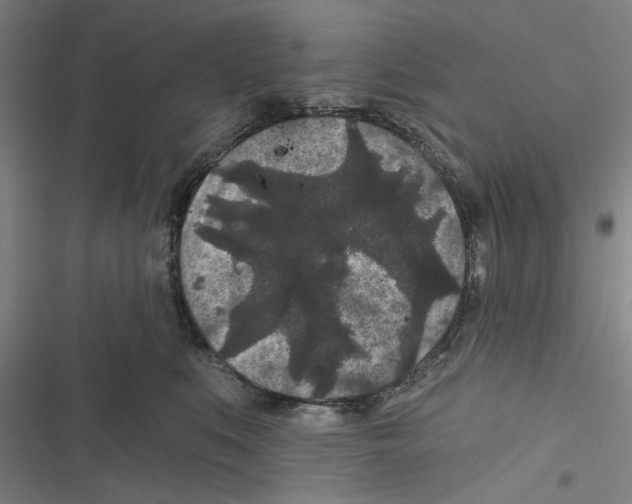 X0000116610519201001081213