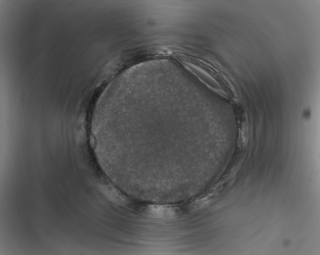 X0000116610520201001081213