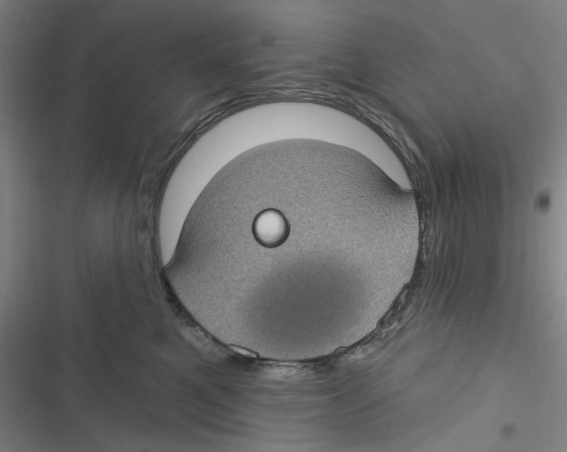 X0000116610521201001081213