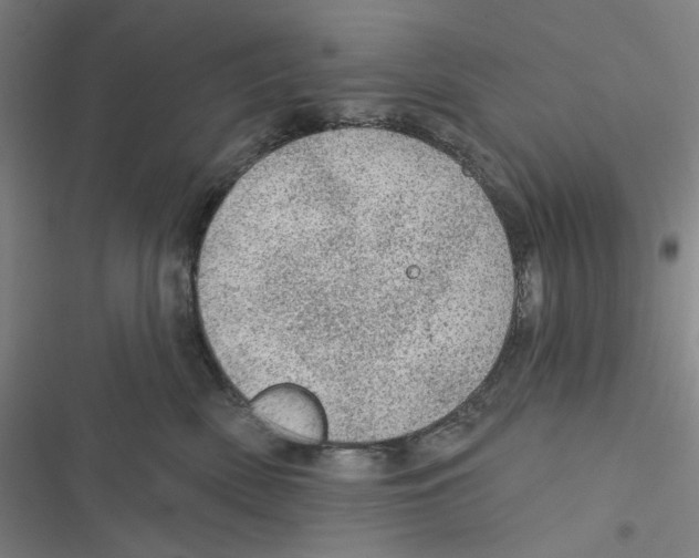 X0000116610522201001081213