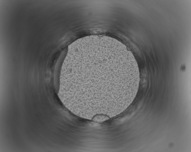 X0000116610523201001081213