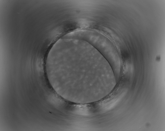 X0000116610524201001081213