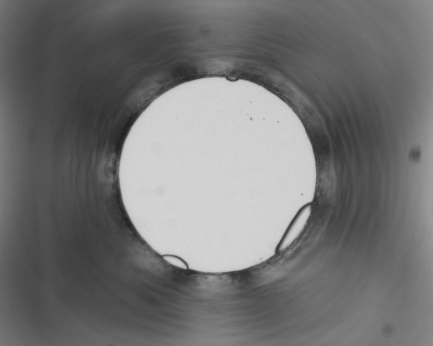 X0000116610525201001081213