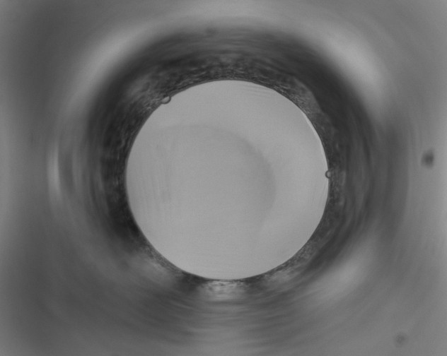 X0000116610526201001081213