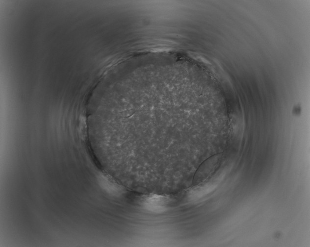 X0000116610527201001081213