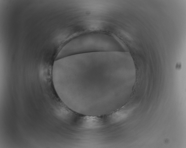 X0000116610528201001081213