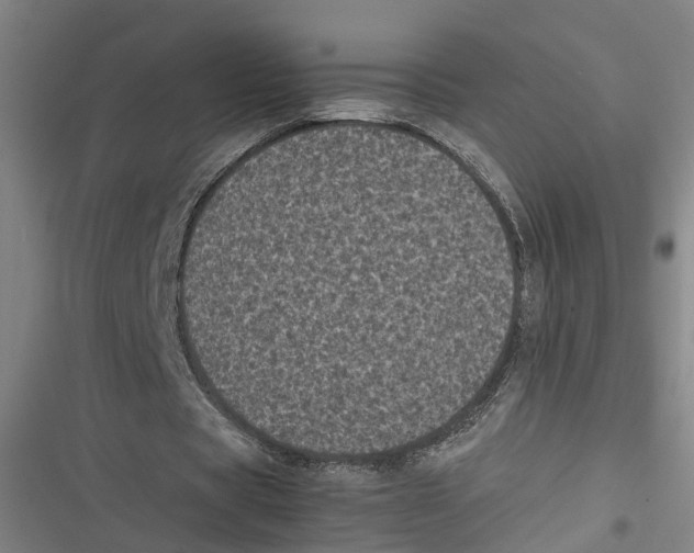 X0000116610529201001081213