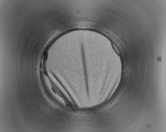 X0000116610530201001081213